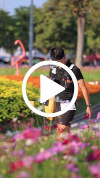 BIB:  <button type="button" onclick="openModal(27588641)" class="btn btn-primary btn-sm float-right" data-toggle="modal" data-target=".modal-high-quality">
                <i class="fa fa-download"></i> Download
                </button>